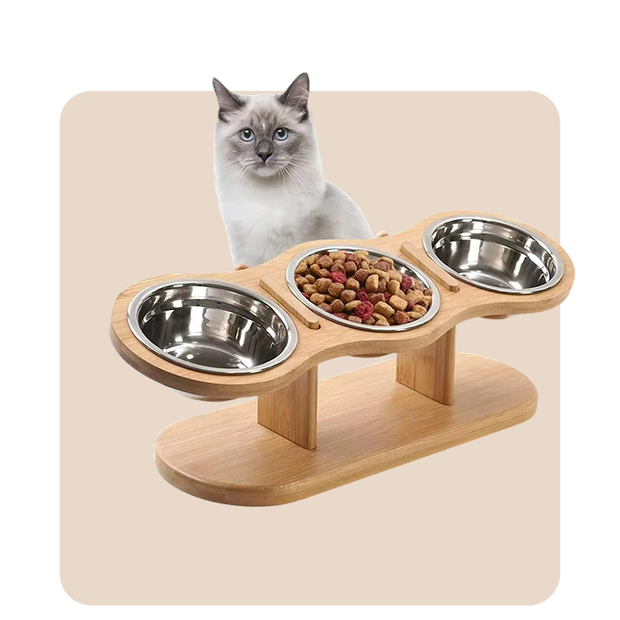 "Mr. Waggy cat bowls and feeders collection – whisker-friendly and automatic feeding options"