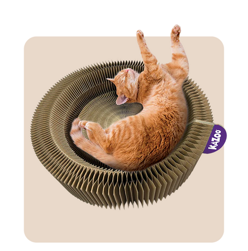 "Mr. Waggy cat favorites collection – top-rated, customer-loved products for cats"