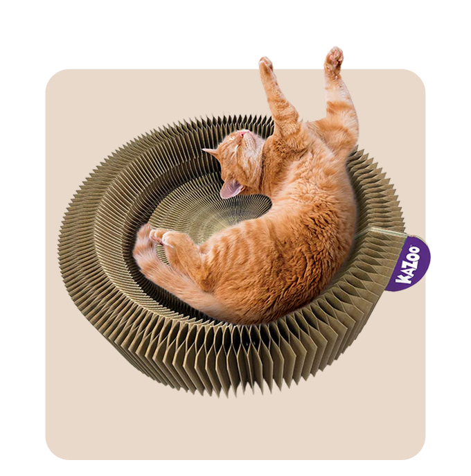 "Mr. Waggy cat favorites collection – top-rated, customer-loved products for cats"
