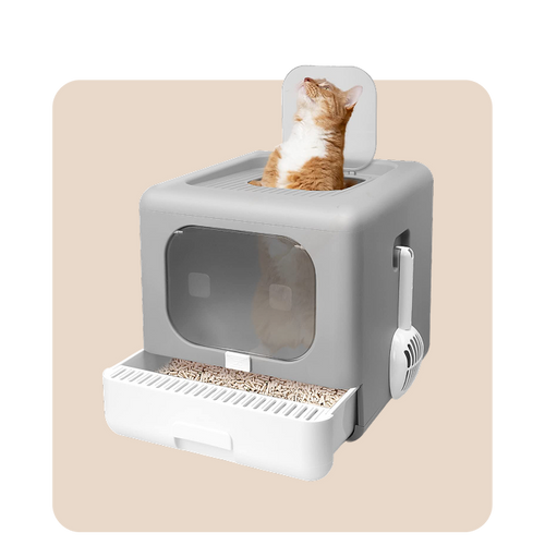 "Mr. Waggy cat litter boxes and potty trays collection – open, covered and self-cleaning options for cats"