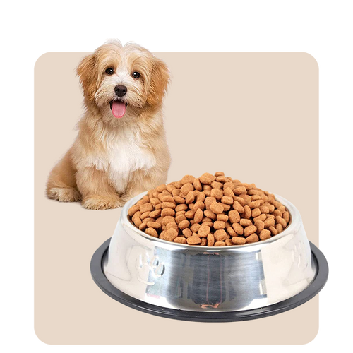 "Mr. Waggy dog supplies collection – food, treats, toys, gear and health essentials"