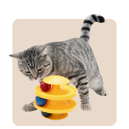"Mr. Waggy cat toys collection – interactive and chase toys for active play"