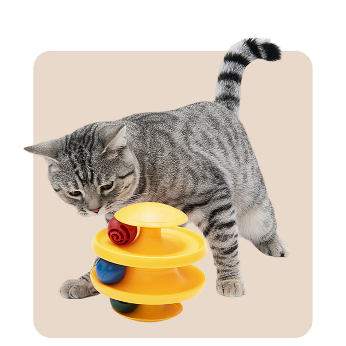 "Mr. Waggy cat toys collection – interactive and chase toys for active play"