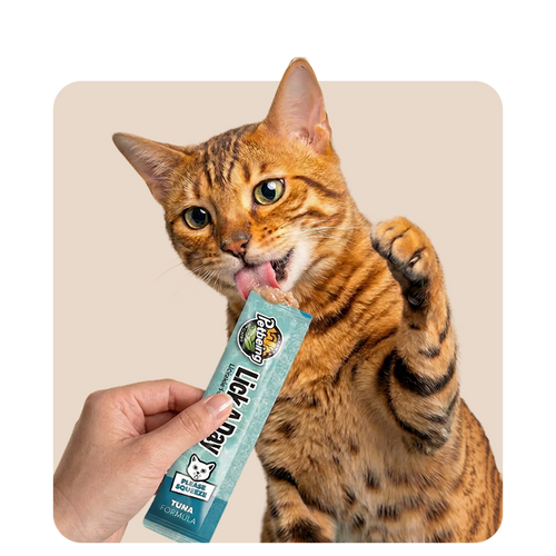 "Mr. Waggy cat treats collection – crunchy, soft and lickable rewards for cats"