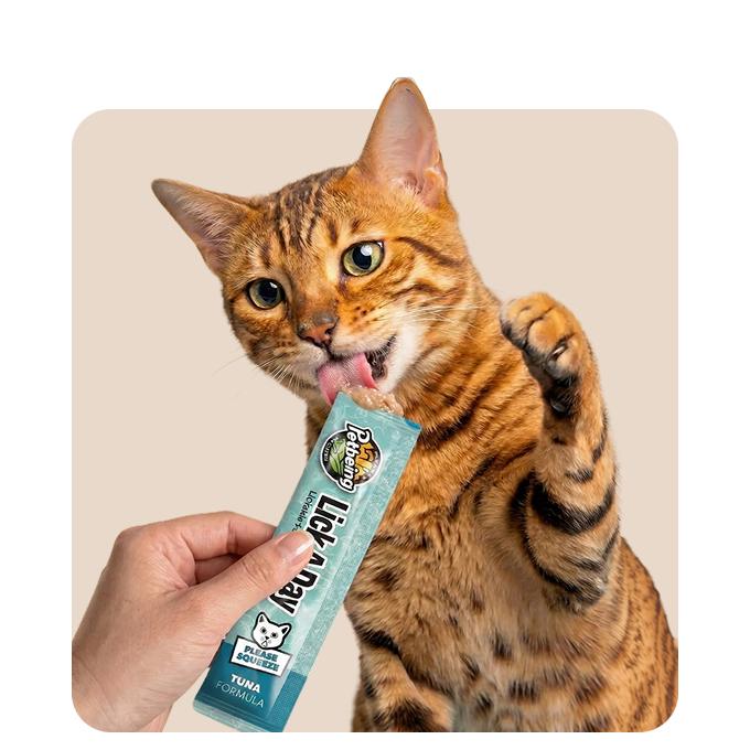 "Mr. Waggy cat treats collection – crunchy, soft and lickable rewards for cats"
