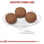 Royal Canin Medium Puppy Dry Dog Food for Medium Breed Puppies