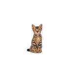Royal Canin Sterilised Kitten Dry Cat Food for Healthy Growth