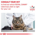 Gastrointestinal Adult Dry Cat Food for Sensitive Digestion
