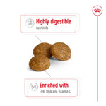 Royal Canin X-Small Adult Dry Dog Food