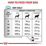Royal Canin Veterinary Anallergenic Dry Dog Food
