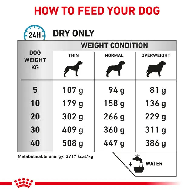 Royal Canin Veterinary Anallergenic Dry Dog Food