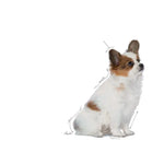 Royal Canin X-Small Puppy Dry Dog Food