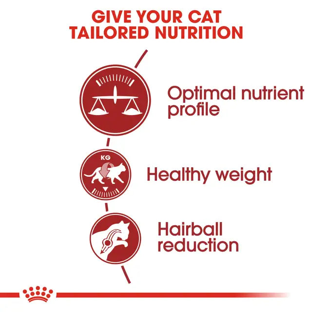 Royal Canin Regular Fit 32 Dry Cat Food for Adult Cats