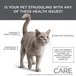 Diamond CARE Urinary Support Formula for Adult Cats