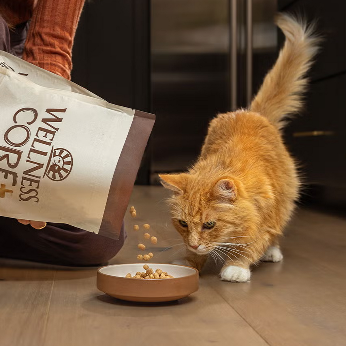 Dry Cat Food