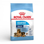 Royal Canin Maxi Starter Mother and Babydog Dry Dog Food
