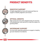 Royal Canin Gastrointestinal Kitten Food for Sensitive Digestion
