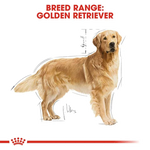 Royal Canin Golden Retriever Adult Dry Dog Food for Adult Golden Retrievers