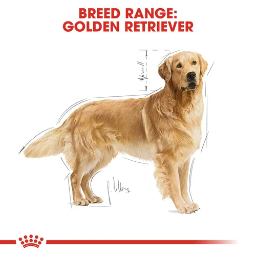 Royal Canin Golden Retriever Adult Dry Dog Food for Adult Golden Retrievers