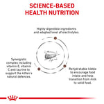 Royal Canin Gastrointestinal Kitten Food for Sensitive Digestion