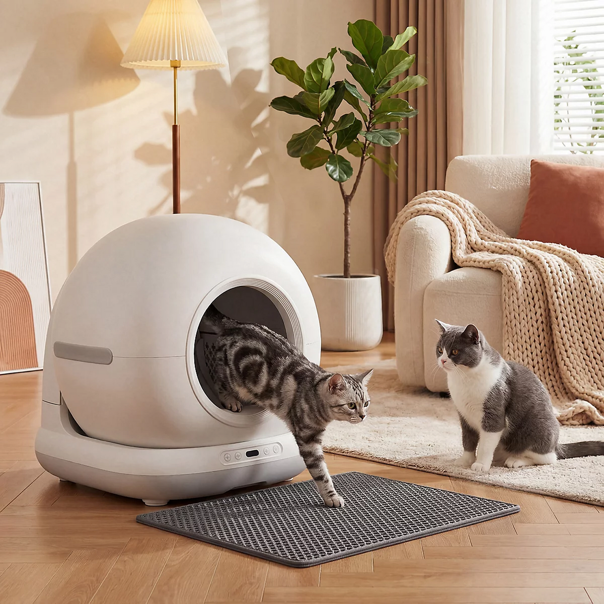 Litters, Boxes & Potty Trays