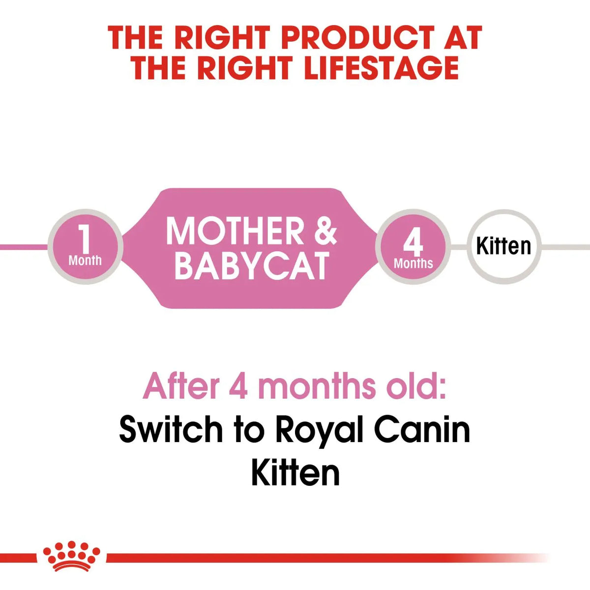 Royal Canin Mother & Babycat Dry Cat Food