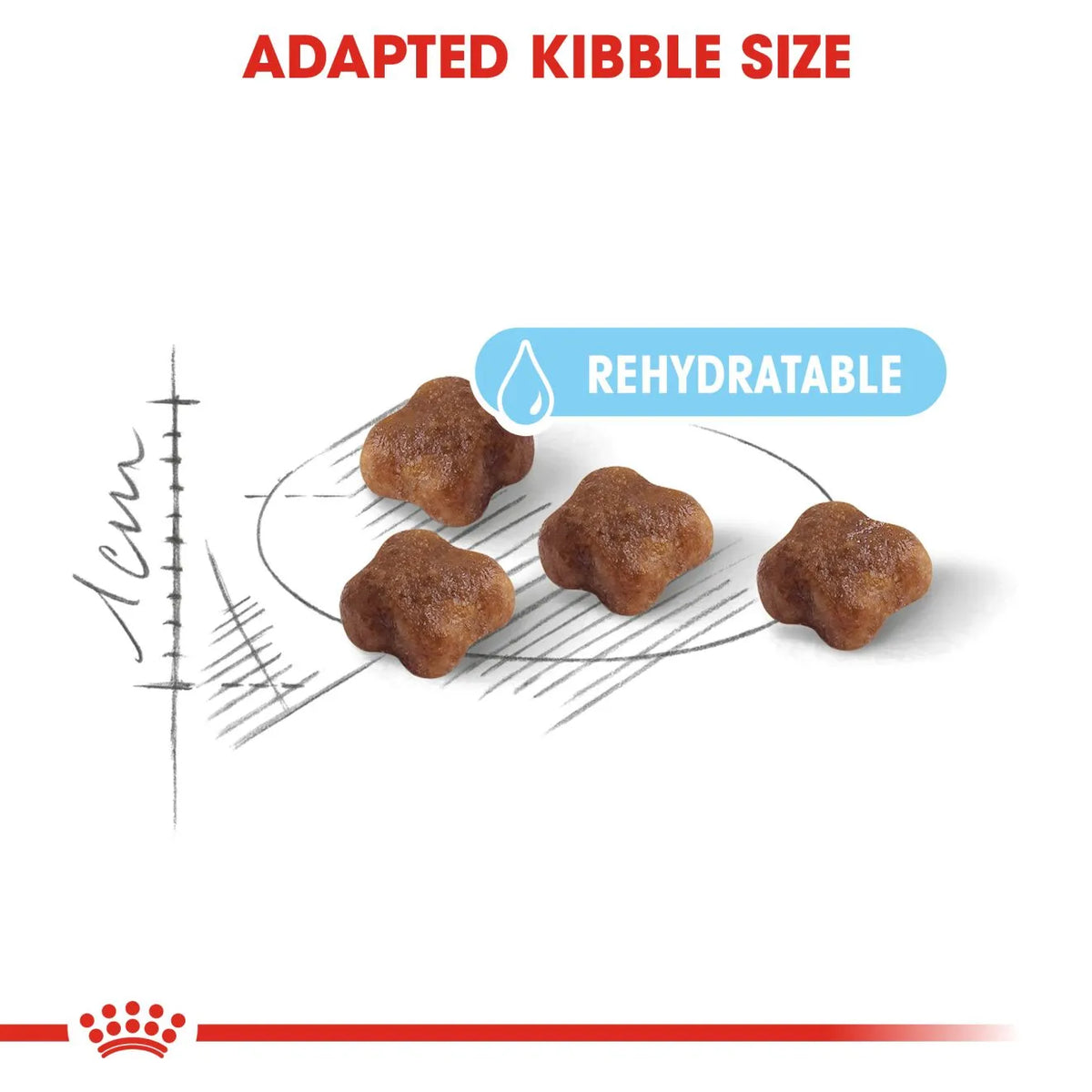 Royal Canin Mother and Babycat Dry Cat Food for Queens and Kittens