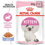 Royal Canin Kitten Jelly Wet Food for Healthy Growth