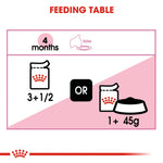 Royal Canin Kitten Jelly Wet Food