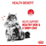 Royal Canin Hair and Skin Care Dry Cat Food for Healthy Coat