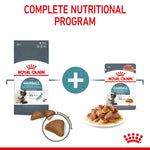 Royal Canin Hairball Control Cat Food for Hairball Reduction
