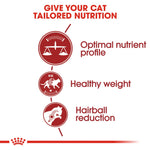 Royal Canin Instinctive Adult in Jelly Wet Cat Food