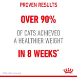 Royal Canin Light Weight Care Dry Cat Food for Weight Management