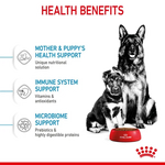 Royal Canin Maxi Starter Mother and Babydog Dry Dog Food