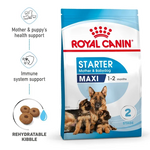 Royal Canin Maxi Starter Mother and Babydog Dry Dog Food