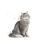 Royal Canin Sensible Dry Cat Food for Sensitive Digestion