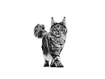 Royal Canin Veterinary Urinary S/O Dry Cat Food for Urinary Tract Health