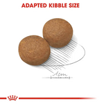 Royal Canin Maxi Adult Dry Dog Food