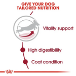Royal Canin Medium Adult Dry Dog Food for Medium Breed Dogs