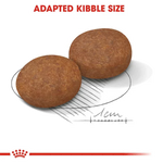 Royal Canin Medium Adult Dry Dog Food