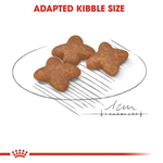 Royal Canin Mini Adult Dry Dog Food for Small Breed Adult Dogs